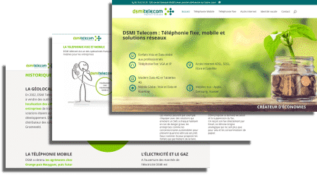 écrans site web DSMI telecom Limas 69400